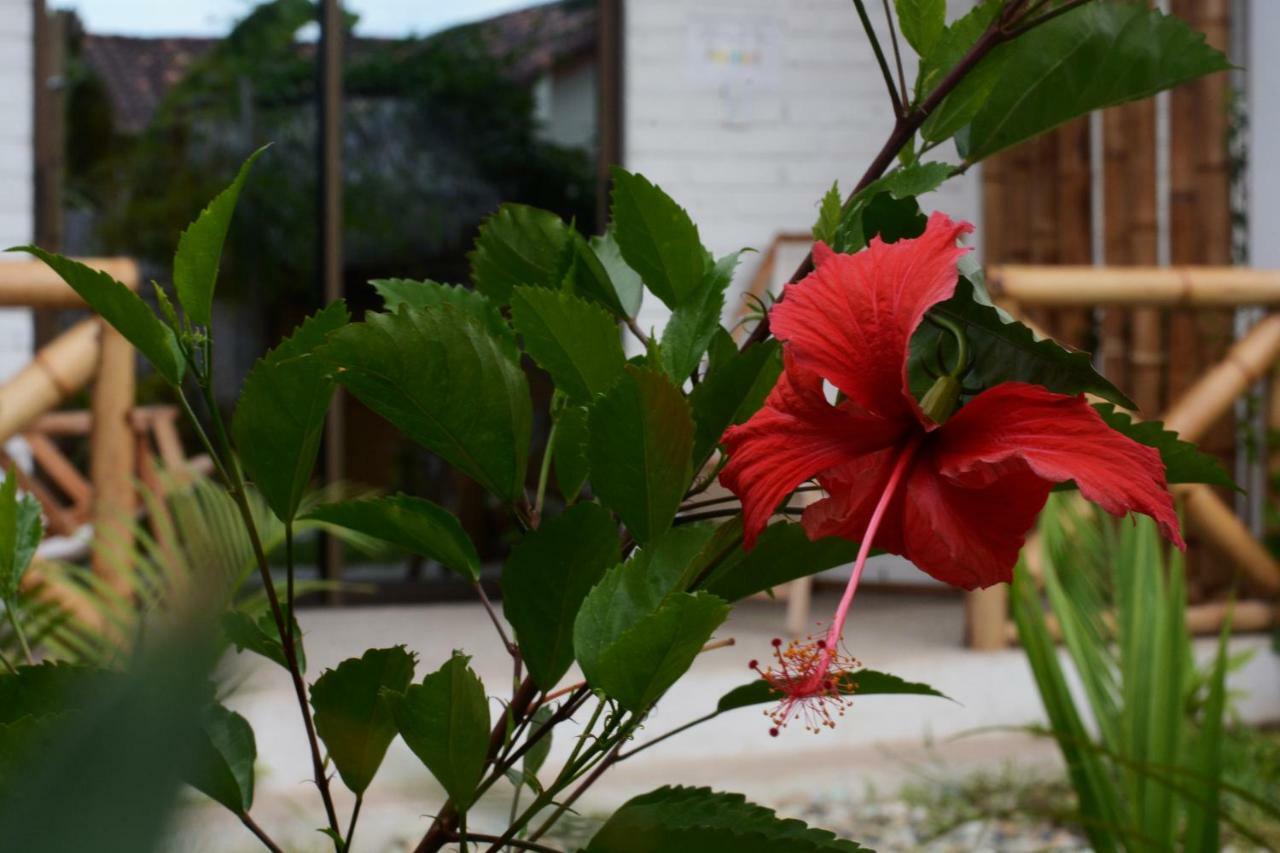 Casita Madame Puerto López Exterior foto